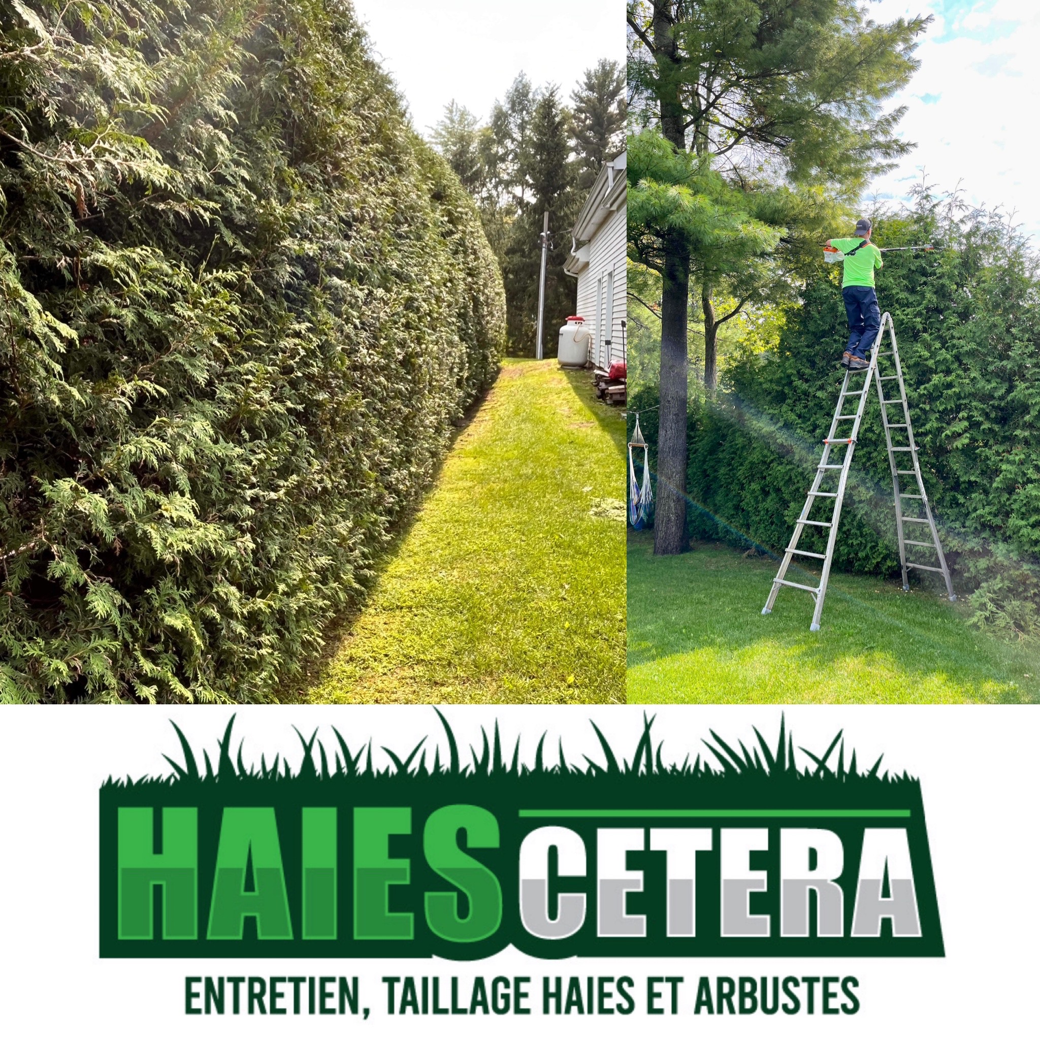 Haies Cetera - Spécialistes en taille de haies de cèdres dans les Laurentides